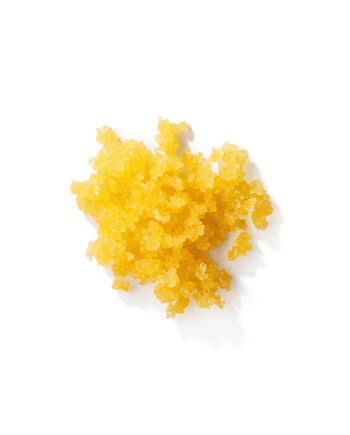 Sagittis Id Consectetur